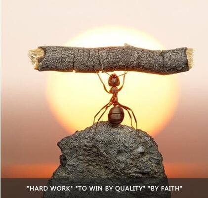 OG视讯·(中国区)官方网站