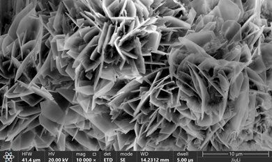 OG视讯·(中国区)官方网站